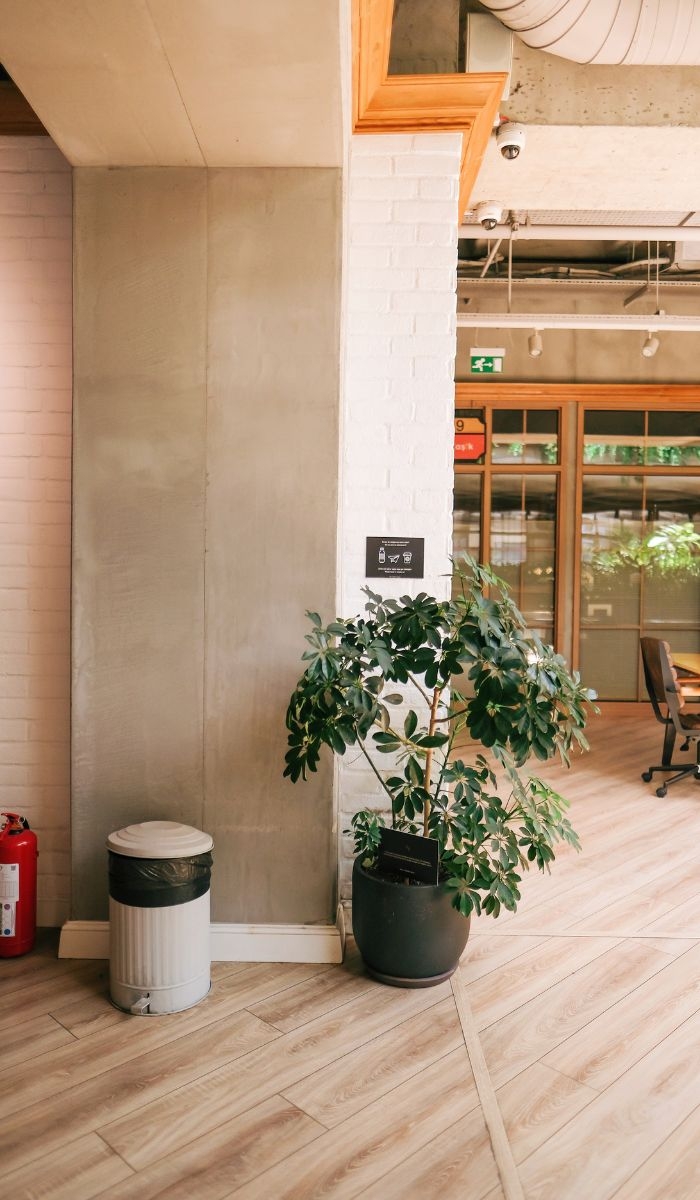 Keeping Your Office Germ-Free: COVID-19 Disinfection Services